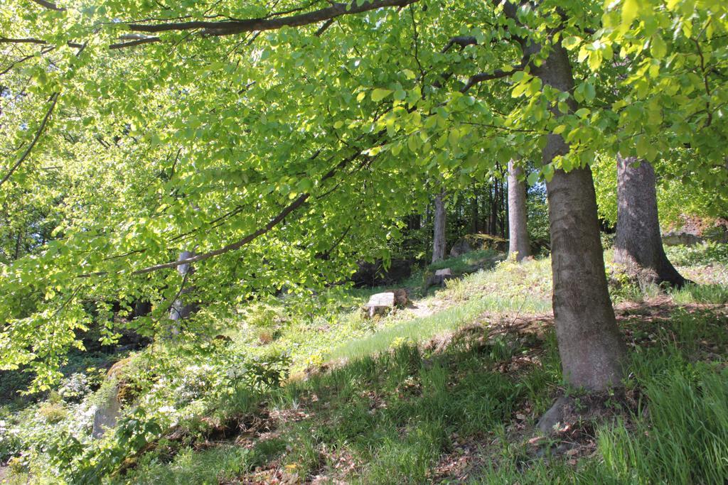 Villa Asika Josefŭv Dŭl Esterno foto
